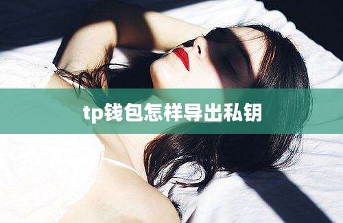 tp钱包怎样导出私钥