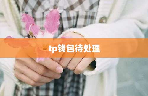 tp钱包待处理