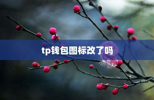 tp钱包图标改了吗