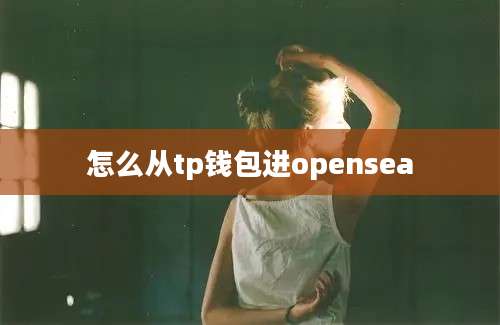 怎么从tp钱包进opensea