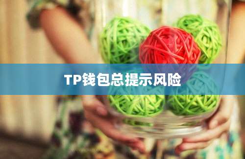 TP钱包总提示风险
