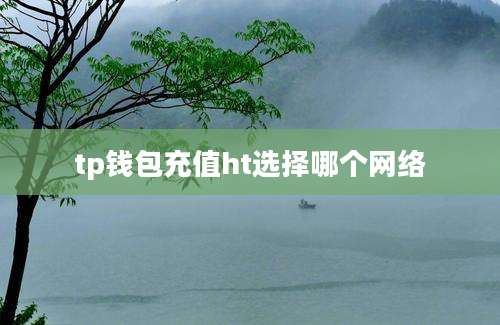 tp钱包充值ht选择哪个网络