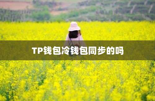 TP钱包冷钱包同步的吗