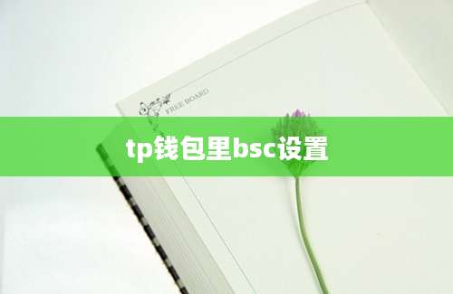 tp钱包里bsc设置
