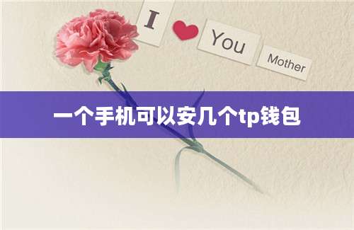一个手机可以安几个tp钱包