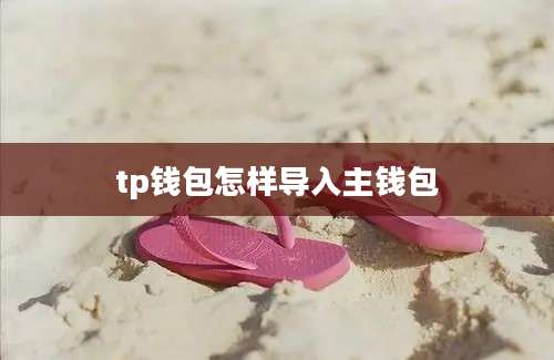 tp钱包怎样导入主钱包