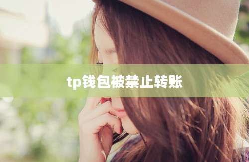 tp钱包被禁止转账