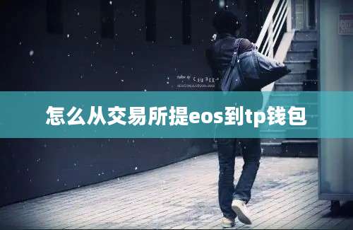 怎么从交易所提eos到tp钱包