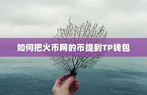 如何把火币网的币提到TP钱包