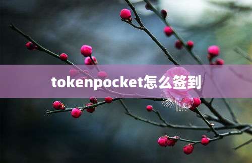 tokenpocket怎么签到