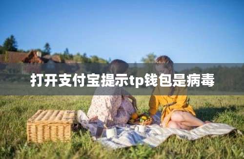 打开支付宝提示tp钱包是病毒