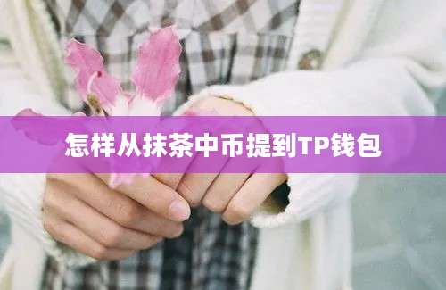怎样从抹茶中币提到TP钱包