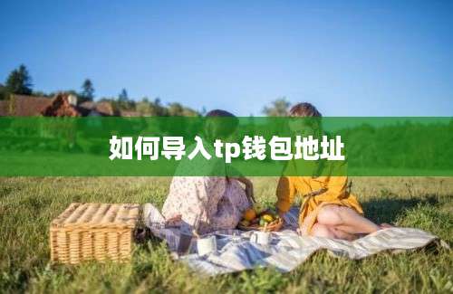 如何导入tp钱包地址