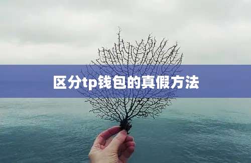 区分tp钱包的真假方法