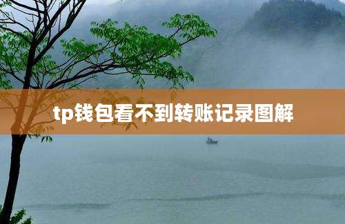 tp钱包看不到转账记录图解