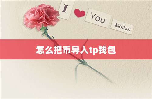 怎么把币导入tp钱包
