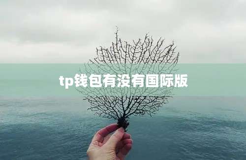 tp钱包有没有国际版