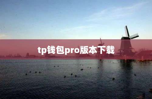 tp钱包pro版本下载