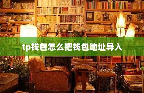 tp钱包怎么把钱包地址导入