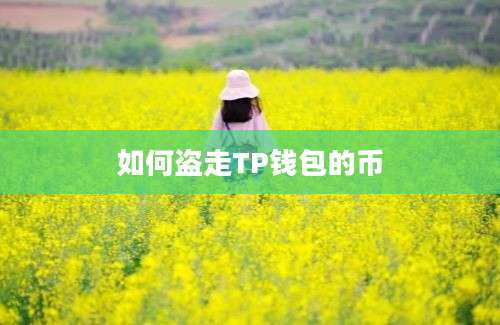 如何盗走TP钱包的币