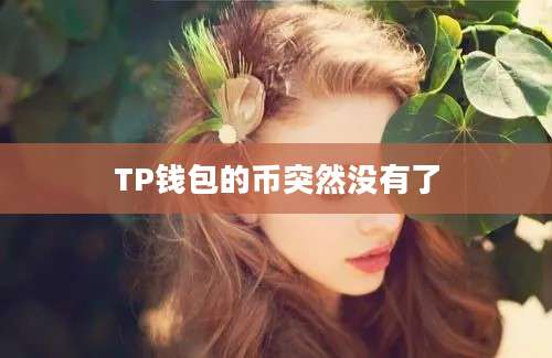 TP钱包的币突然没有了