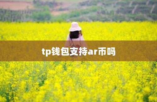 tp钱包支持ar币吗