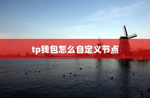 tp钱包怎么自定义节点