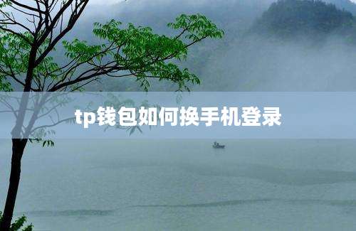 tp钱包如何换手机登录