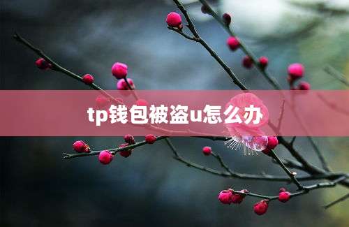 tp钱包被盗u怎么办