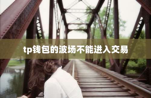 tp钱包的波场不能进入交易