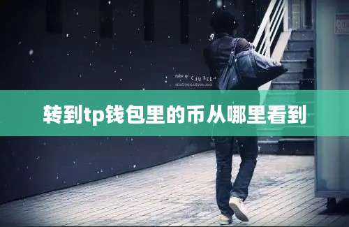 转到tp钱包里的币从哪里看到