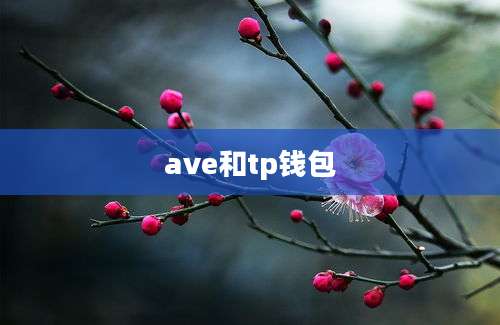 ave和tp钱包