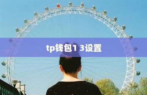 tp钱包1 3设置