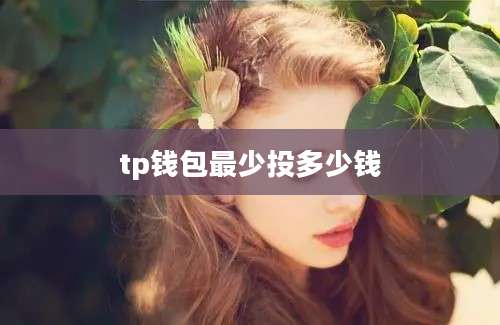 tp钱包最少投多少钱