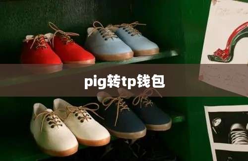 pig转tp钱包