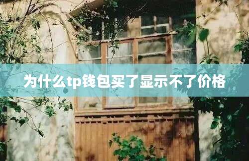 为什么tp钱包买了显示不了价格