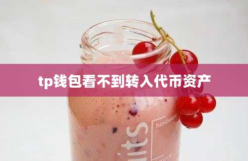 tp钱包看不到转入代币资产