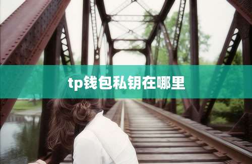 tp钱包私钥在哪里