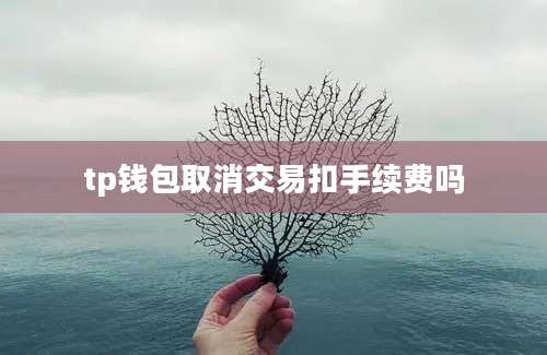 tp钱包取消交易扣手续费吗