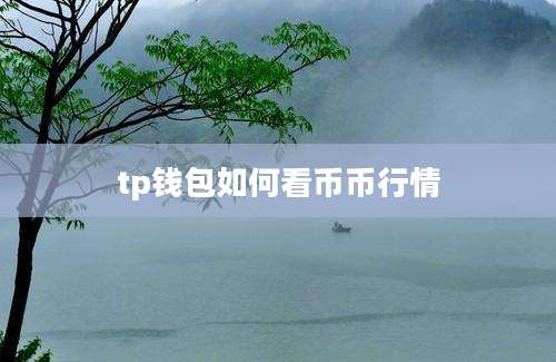 tp钱包如何看币币行情