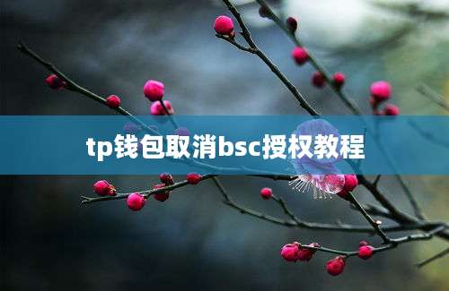 tp钱包取消bsc授权教程