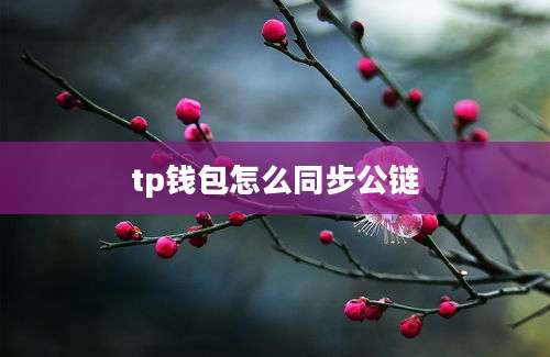 tp钱包怎么同步公链