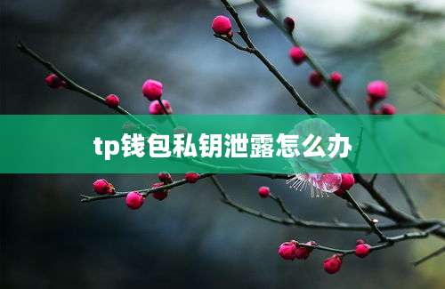tp钱包私钥泄露怎么办