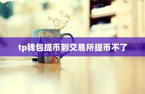 tp钱包提币到交易所提币不了