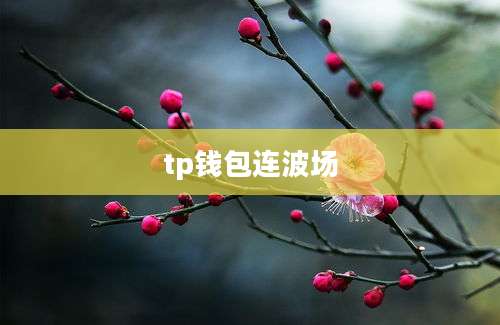tp钱包连波场