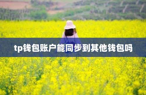 tp钱包账户能同步到其他钱包吗