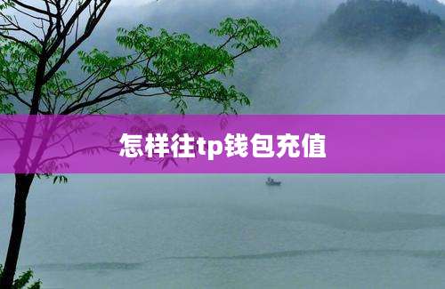 怎样往tp钱包充值