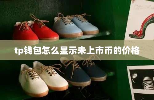 tp钱包怎么显示未上市币的价格