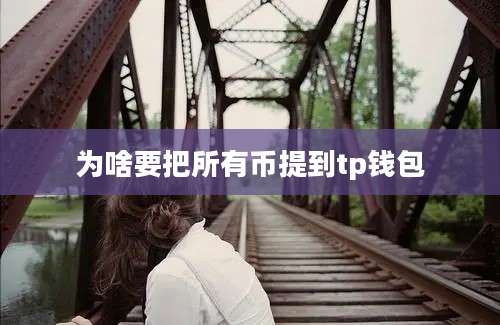 为啥要把所有币提到tp钱包