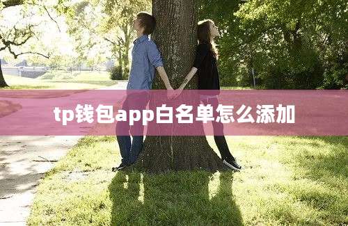 tp钱包app白名单怎么添加